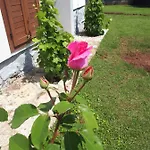Сasa de vacaciones Balaton Paloznak