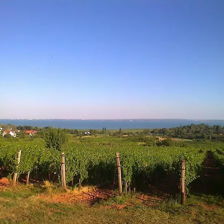 Feriehus Balaton