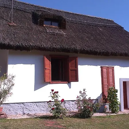 Balaton Paloznak