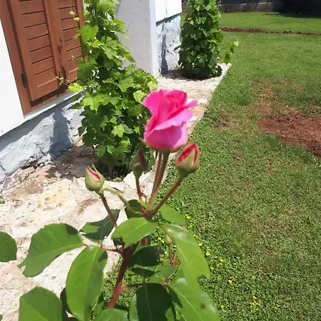 Vakantiehuis Balaton Paloznak